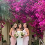 Michelle Marshall Dillon - @michmarshdill - Instagram