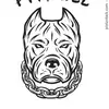 Marshall Dodge - @marshall.dodge - TikTok