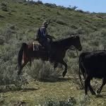 Marshall Dowell - @marshalldowell145 - Instagram