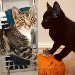 Winter & Salem Marshall-Dyer - @winterandsalem - Instagram