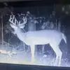 marshall_everett - @marshall_everett - TikTok