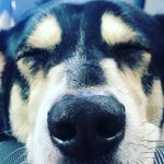 Marshall Ferrell - @marscarrferr - Instagram