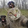 marshallfitzgerald7 - @marshallfitzgerald7 - TikTok