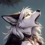 Jonathan Marshall-Foreman - @spiritdreammoon - Instagram