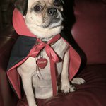 Marshall Fuller - @marshallfullerk - Instagram