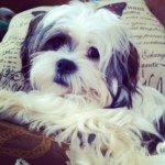 Marshall Fuller - @marshall_fuller - Instagram