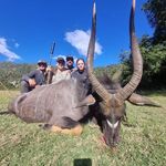 Michelle Marshall Goodwin - @goodwinfamilyranches - Instagram