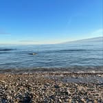 Marshall Gross - @marshallgross86 - Instagram
