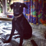 Rachel Marshall Hardy - @maxknicks336 - Instagram