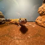 Marshall Harrison - @marshalljh_ - Instagram