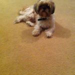 Marshall Hart - @marshall.hart - Instagram