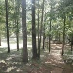 Marshall Hart - @marshall.hart.779 - Instagram