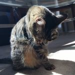 Marshall Helm - @marshall.helm - Instagram