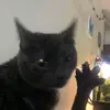 Marshall - @marshall_mick - TikTok