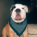 James Marshall Hendrix - @jamesbluesdog - Instagram