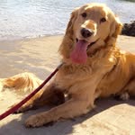 Riley Marshall Hendrix - @hendrixthegolden - Instagram