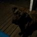 Marshal Hicks - Facebook