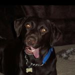 Marshall Hicks - @marshall.hicks.7587 - Instagram