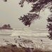 Marshall Holmes - Facebook