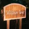 Wildflower Farms wedding venue - @marshallhoward92 - TikTok