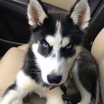 Knox Marshall - @_knoxmarshall - Instagram