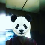 kolbymarshall - @kolbymarshall6221 - Instagram