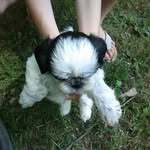 KolbyPMarshall - @kolbypmarshall0984 - Instagram