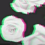 Marshall Leonard - @marshallbleonard - Instagram