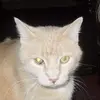 marshalllloyd69 - @marshalllloyd69 - TikTok