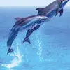 marshalllove276 - @marshalllove0 - TikTok