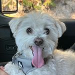 Marshall - @marsh_all_mann - Instagram