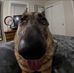 Marshall Mann - Facebook