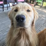 Marshall Manning - @therealmarshallmanning - Instagram