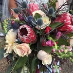Terri Marshall Mansfield - @terrimarshallmansfield - Instagram