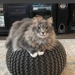 Carolyn Marshall Marks - @jory9720 - Instagram