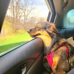 Marshall McCoy - @mccoymarshall - Instagram
