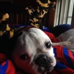 Marshall Mcdermott - @titen22775 - Instagram