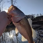 Marshall McElmurry - @mcelmurrymarshall - Instagram