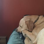 Marshall - @marshall_mcgill - Instagram
