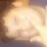 Marshall McGill - @user499675181 - TikTok