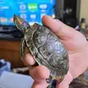 Marshall McLean - @marshall.mclean5 - TikTok
