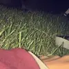 marshallmclean_ - @marshallmclean_ - TikTok