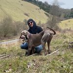 Miles Marshall - @milesmarshall_ - Instagram