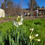 Marshall New Era Community Garden - @marshallneweracommunitygarden - Instagram
