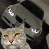 Marshall news - @marshall.news8 - TikTok