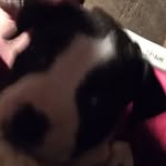Marshall Noble - @marshallnoble266 - Instagram