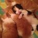 Owen Marshall - Facebook