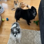 Marshall & Palmer & Georgie - @marshall.palmer.georgian - Instagram