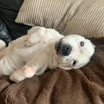 Marshall Palmer-Read - Facebook