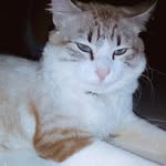 MARSHALL - @marshall_passos - Instagram